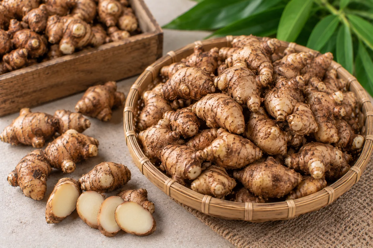 Fresh Indonesian kencur aromatic ginger
