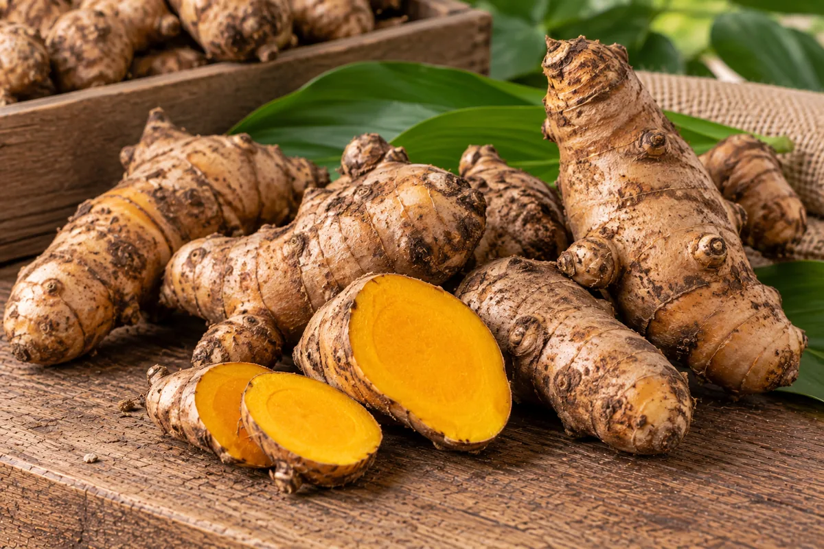 Fresh Indonesian temulawak